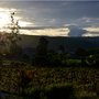 Randonnée Ardéchoise : Aubenas, 6h, soleil levant