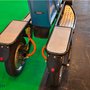 eCarTec Paris 2013 : Deliver E Trike arrire