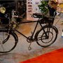 Salmson Cyclaid