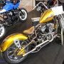 Salon du deux roues Lyon 2018 : Custom - Golden Heart, H-D Sporster, (...)
