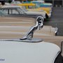 Automédon - Motorama 2012
