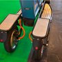 eCarTec Paris 2013 : Deliver E Trike arrire