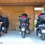 Randonnée Ardéchoise : montures en attente