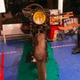 Salon Moto Légende 2010 : moto gazogène à bois