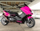 Patrick Pons : PinkMax 530 Abs