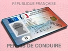 Permis 2013 : le point complet des catégories et format