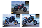 Honda CB650R : résultats concours européen, Mototrofa, Portugal, 1er