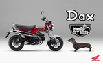 Honda ST125 Dax : retour vers le futur en 125cc