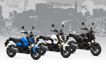 Honda MSX125 Grom : millésime 2025, à la conquête de l'Europe